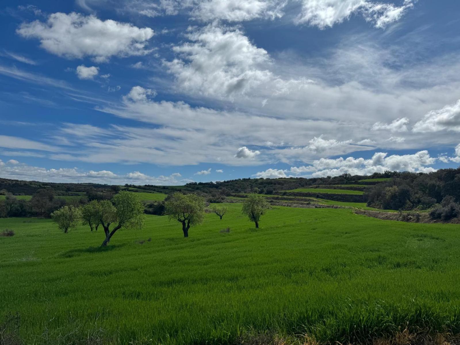 Masia De Queralt Luxury Casa Rural Spa Y Vistas Concabella Екстер'єр фото